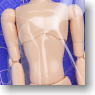 27cm Male Slim Body w/Magnet (Whity) (Fashion Doll)