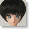 27cm Wig Short M (Dark Brown) (Fashion Doll)
