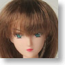 27cm Wig Semi-Long S (Brown) (Fashion Doll)