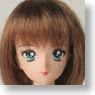 27cm Wig Semi-Long M (Brown) (Fashion Doll)
