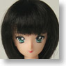27cm Wig Semi-Long M (Dark Brown) (Fashion Doll)