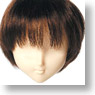 60cm Wig Short S (Mix) (Fashion Doll)