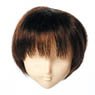 60cm Wig Short L (Mix) (Fashion Doll)