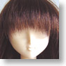 60cm Wig Semi-Long S (Mix) (Fashion Doll)