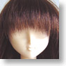 60cm Wig Semi-Long L (Mix) (Fashion Doll)