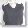 60cm Vest (Navy) (Fashion Doll)