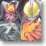 Card-Warrior Kamen Riders Explosion Flame Warriors (Completed)