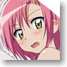 Hayate the Combat Butler 2nd Season Hinagiku Swim Wear Folding Fan (Anime Toy)