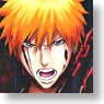 Bleach Clear Soul Plate 3 (Trading Cards)