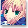 Fate/stay night iPad Case (Anime Toy)
