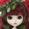 Little Pullip+ / Princess Rose (Fashion Doll)
