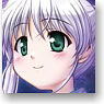 [Fortune Arterial] A6 Ring Notebook [Togi Shiro] (Anime Toy)