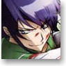 「学園黙示録 HIGHSCHOOL OF THE DEAD」 A3タペストリー 「校庭」 （キャラクターグッズ)