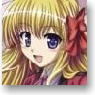 Fortune Arterial Anime Ver. B2 Tapestry Assembly (Anime Toy)