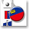 Flags of the World Strap 13 (Liechtenstein) (Anime Toy)