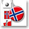 Flags of the World Strap 19 (Norway) (Anime Toy)