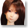 D.T.mate14 / Hohori - Ver.1 Dark brown hair (BodyColor / Skin Pink) w/Full Option Set (Fashion Doll)