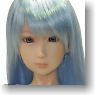 D.T.mate14 / Hohori - Ver.2 Blue long hair (BodyColor / Skin Pink) w/Full Option Set (Fashion Doll)