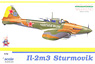 IL-2 シュトルモビク (プラモデル)