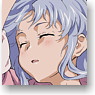 To Aru Majutsu no Index II Cloth Poster A (Anime Toy)