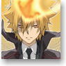 [Reborn!] Large Format Mouse Pad [Vongola Primo] (Anime Toy)