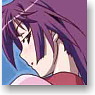 Character Binder Collection Bakemonogatari Ver.3 (Card Supplies)
