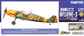 Bf109E-3 Romanian Air Force (Painted Plastic Model)