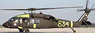 UH-60L (Plastic model)