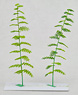1/150 Bamboo Tree (Large) (Height: 90mm, 2pcs.) (Pre-colored Completed) (Model Train)