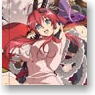 Hyakka Ryoran Samurai Girls Clear File Type.B (Anime Toy)