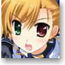 Character Card Box Collection SP Magical Girl Lyrical Nanoha Vivid [Strike Arts] (Card Supplies)