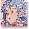 To Aru Majutsu no Index II Mofumofu Mini Hot Water Bottle Sleeping Index Hot Water Bottle Cover (Anime Toy)