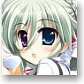 Character Sleeve Collection Platinum Grade Magical Girl Lyrical Nanoha Vivid [Einhart Stratos] (Card Sleeve)