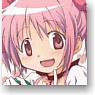 [Puella Magi Madoka Magica] Cushion (Anime Toy)