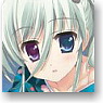 Character Deck Case Collection SP Magical Girl Lyrical Nanoha Vivid [Einhart Stratos] (Card Supplies)