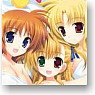 Character Binder Index Collection Magical Girl Lyrical Nanoha ViVid [Vivio and Double Mothers] (Card Supplies)