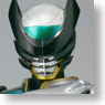 S.H.Figuarts Kamen Rider Birth (Completed)