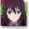 IS (Infinite Stratos)Folding Fan Shinonono Hoki (Anime Toy)