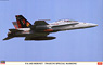 F/A-18D ホーネット `岩国 スペシャルマーク` (プラモデル)