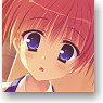 Noble Works Cushion Cover B (Kunihiro Hinata) (Anime Toy)