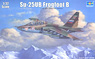 Su-25UB Frog Foot B Seat Type (Plastic model)