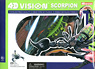 Scorpion Anatomy Model (Plastic model)