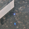 Micro LED Lamp High Luminance (Blue) (1 pcs) (Material)