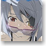 IS (Infinite Stratos) Case for iPhone4 Cecilia & Charlotte & Laura (Anime Toy)