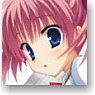 Noble Works Clear File Set B (Assembly/Hinata/Shizuru/Maya) (Anime Toy)