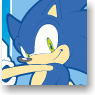 SOTOGAWA iPhone4Case Sonic the Hedgehog Earth Color (Anime Toy)