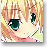 Character Card Box Collection Twinkle Crusaders -Passion Star Stream- [Misa Brigitta Cristelis] (Card Supplies)