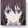 IS (Infinite Stratos) IC Card Sticker Set Shinonono Hoki (Anime Toy)