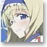 IS (Infinite Stratos) IC Card Sticker Set Cecilia Alcott (Anime Toy)