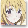 IS (Infinite Stratos) IC Card Sticker Set Charlotte Dunoa (Anime Toy)